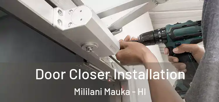  Door Closer Installation Mililani Mauka - HI