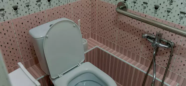 Meeting Diverse Needs With Accessible Restroom Solutions in Mililani Mauka, HI