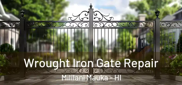 Wrought Iron Gate Repair Mililani Mauka - HI